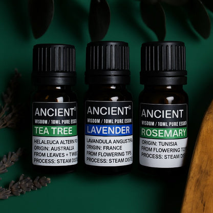 Lavender, Tea Tree & Rosemary Essential Oils Set – 3 x 10ml | 100% Pure & Natural