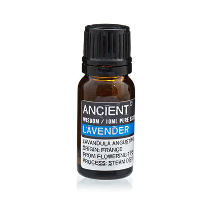 Lavender, Tea Tree & Rosemary Essential Oils Set – 3 x 10ml | 100% Pure & Natural