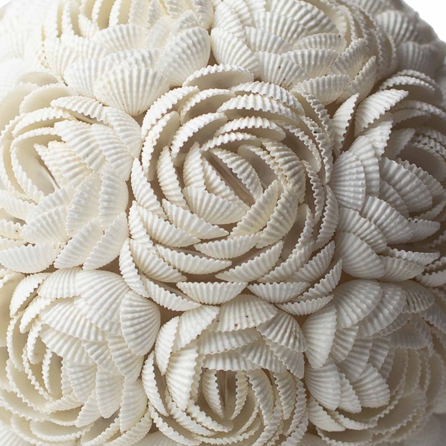 Boho Sea Shell Lamp – Rose Oval | 15cm