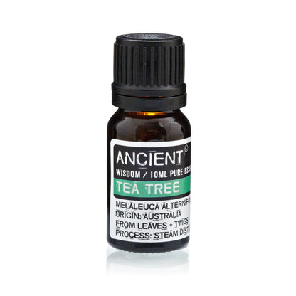 Lavender, Tea Tree & Rosemary Essential Oils Set – 3 x 10ml | 100% Pure & Natural