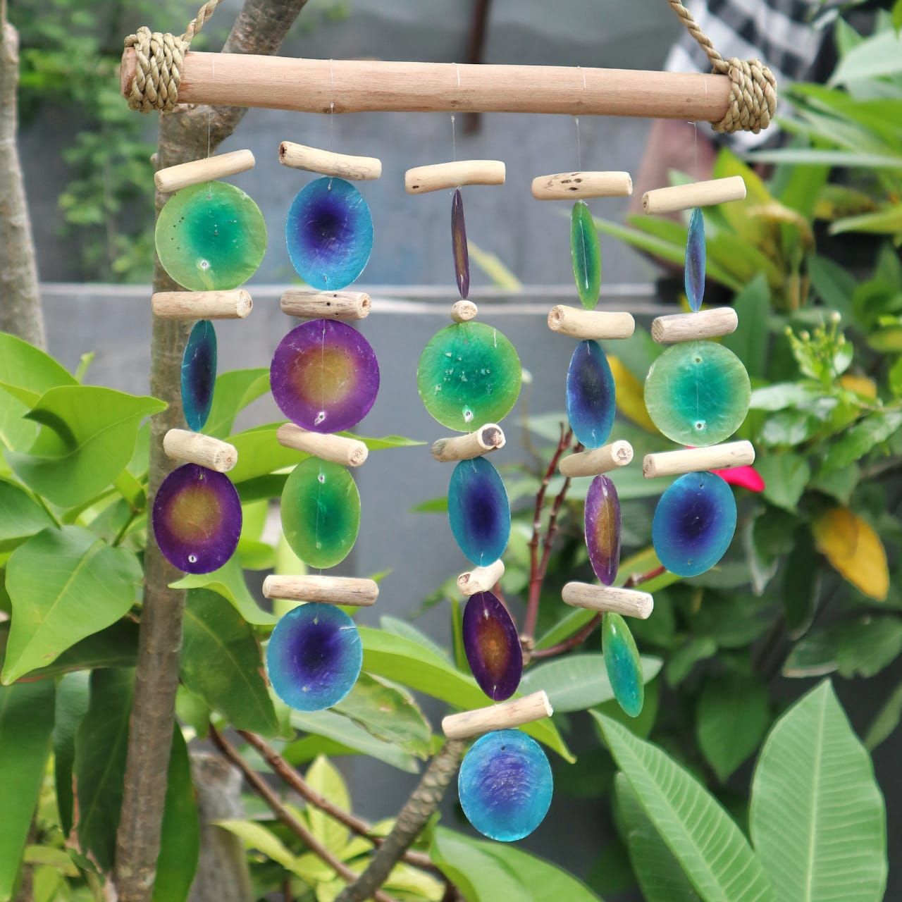 Green & Purple Driftwood Chime – Handmade Capiz Shell & Driftwood